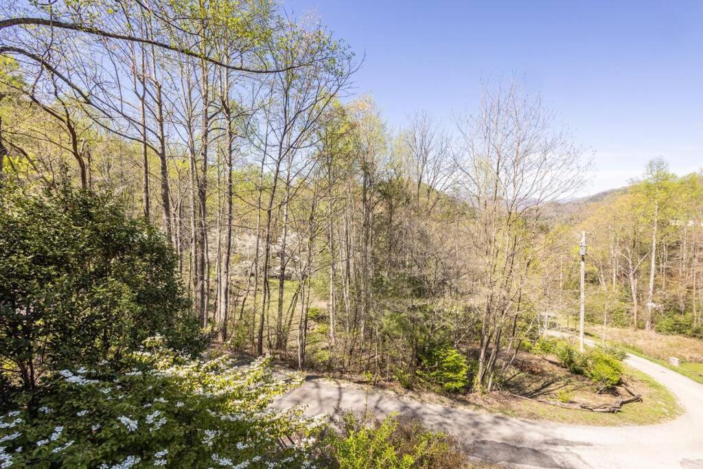 Family Cabin Near Smoky Mtn Entrance Nantahala Robbinsville Exterior foto